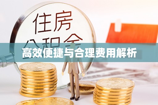 大武高效便捷与合理费用解析